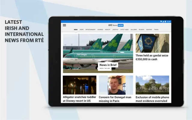 RTE News Now android App screenshot 13